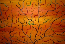 'Eden' di Adriana Signori